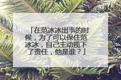 在范冰冰出事的时候,为了可以保住范冰冰,自己主动揽下了责任,他是谁?