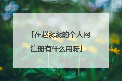 在赵蕊蕊的个人网注册有什么用呀