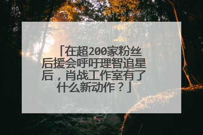 在超200家粉丝后援会呼吁理智追星后，肖战工作室有了什么新动作？