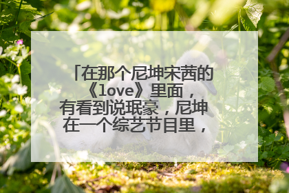 在那个尼坤宋茜的《love》里面，有看到说珉豪，尼坤在一个综艺节目里，那是什么节目？