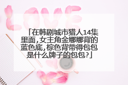 在韩剧城市猎人14集里面,女主角金娜娜背的蓝色底,棕色背带得包包是什么牌子的包包?
