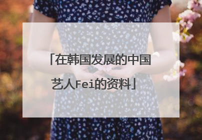 在韩国发展的中国艺人Fei的资料