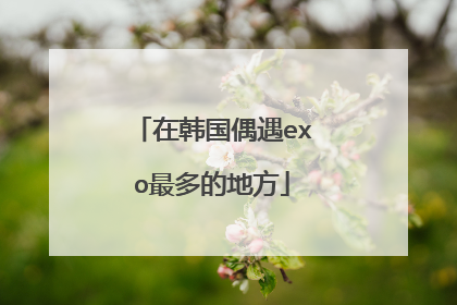 在韩国偶遇exo最多的地方