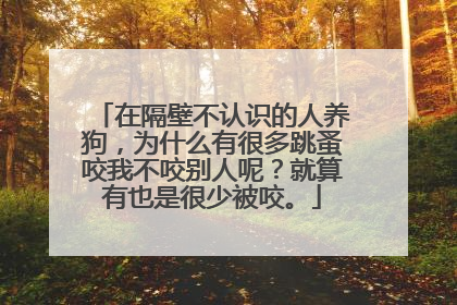 在隔壁不认识的人养狗，为什么有很多跳蚤咬我不咬别人呢？就算有也是很少被咬。