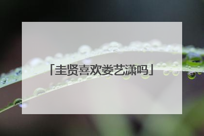 圭贤喜欢娄艺潇吗