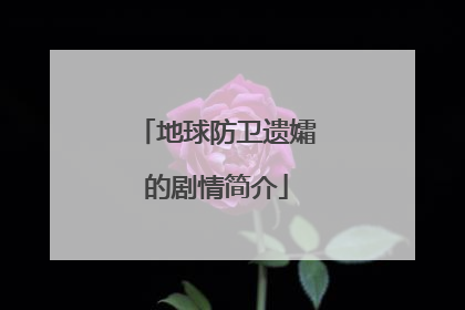 地球防卫遗孀的剧情简介