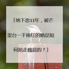 地下恋11年,被芒果台一手捧红的她是如何抢走魏晨的?
