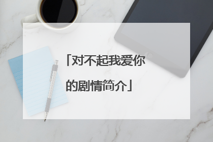 对不起我爱你的剧情简介
