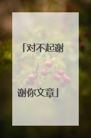 对不起谢谢你文章