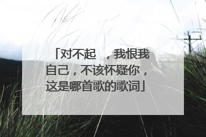 对不起 ,我恨我自己,不该怀疑你,这是哪首歌的歌词