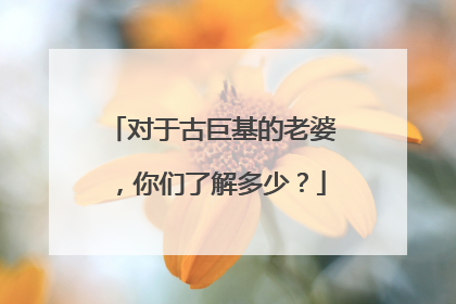 对于古巨基的老婆，你们了解多少？