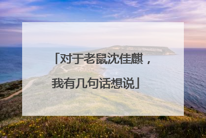 对于老鼠沈佳麒，我有几句话想说