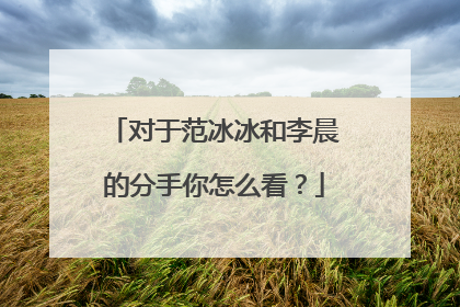对于范冰冰和李晨的分手你怎么看？