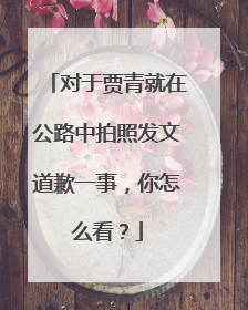 对于贾青就在公路中拍照发文道歉一事,你怎么看?