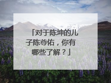 对于陈坤的儿子陈尊佑，你有哪些了解？