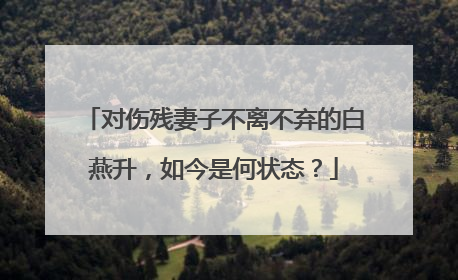 对伤残妻子不离不弃的白燕升,如今是何状态?