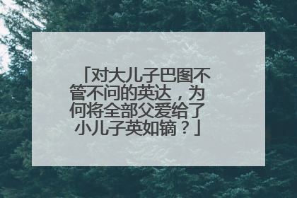 对大儿子巴图不管不问的英达，为何将全部父爱给了小儿子英如镝？
