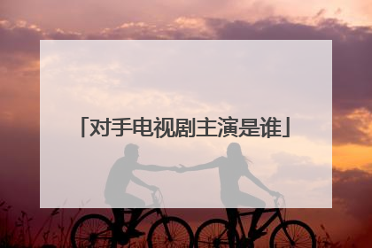 对手电视剧主演是谁