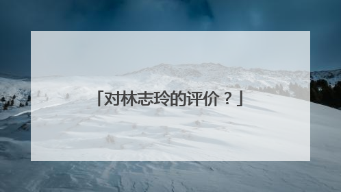 对林志玲的评价？