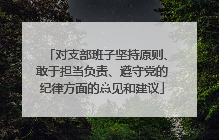 对支部班子坚持原则、敢于担当负责、遵守党的纪律方面的意见和建议