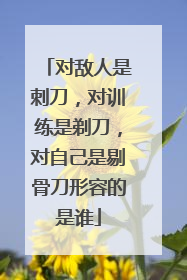 对敌人是刺刀,对训练是剃刀,对自己是剔骨刀形容的是谁
