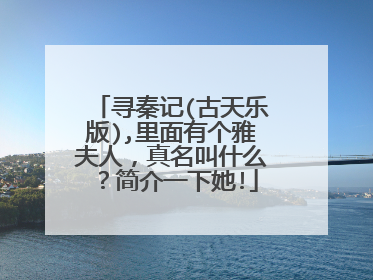 寻秦记(古天乐版),里面有个雅夫人，真名叫什么？简介一下她!