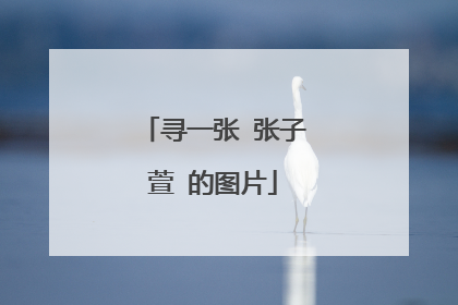 寻一张 张子萱 的图片