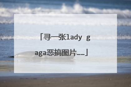 寻一张lady gaga恶搞图片……