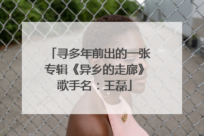 寻多年前出的一张专辑《异乡的走廊》歌手名:王磊