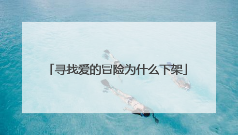 寻找爱的冒险为什么下架