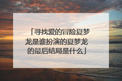 寻找爱的冒险夏梦龙是谁扮演的夏梦龙的最后结局是什么