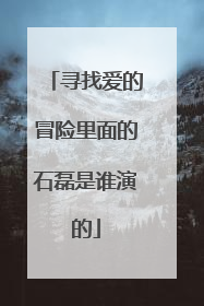 寻找爱的冒险里面的石磊是谁演的