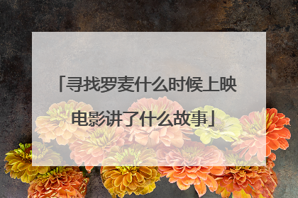 寻找罗麦什么时候上映 电影讲了什么故事