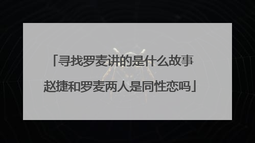 寻找罗麦讲的是什么故事 赵捷和罗麦两人是同性恋吗