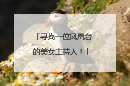 寻找一位凤凰台的美女主持人！