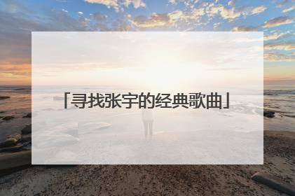 寻找张宇的经典歌曲