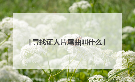 寻找证人片尾曲叫什么