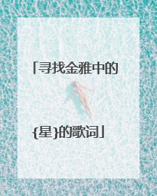 寻找金雅中的{星}的歌词