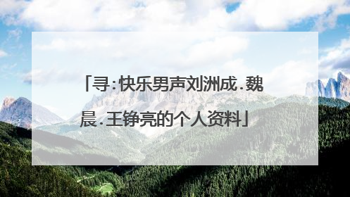 寻:快乐男声刘洲成.魏晨.王铮亮的个人资料