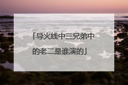 导火线中三兄弟中的老二是谁演的