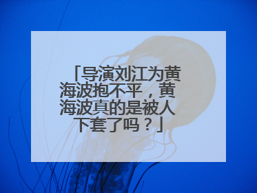 导演刘江为黄海波抱不平,黄海波真的是被人下套了吗?