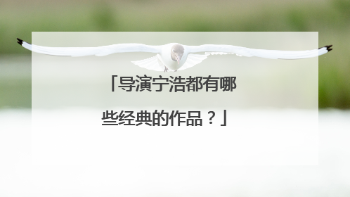 导演宁浩都有哪些经典的作品？