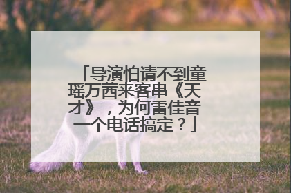 导演怕请不到童瑶万茜来客串《天才》，为何雷佳音一个电话搞定？