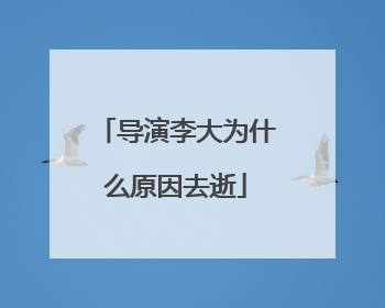 导演李大为什么原因去逝