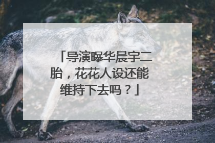 导演曝华晨宇二胎,花花人设还能维持下去吗?