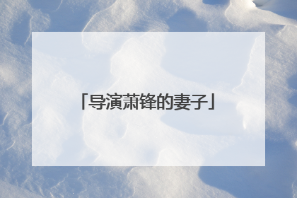 导演萧锋的妻子