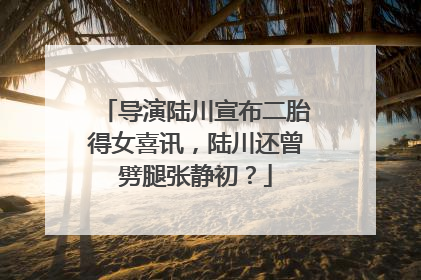导演陆川宣布二胎得女喜讯，陆川还曾劈腿张静初？