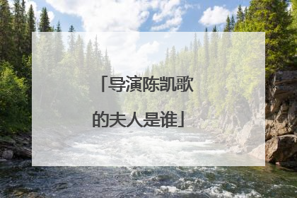 导演陈凯歌的夫人是谁