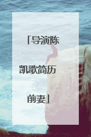 导演陈凯歌简历前妻