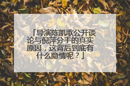 导演陈凯歌公开谈论与倪萍分手的真实原因，这背后到底有什么隐情呢？